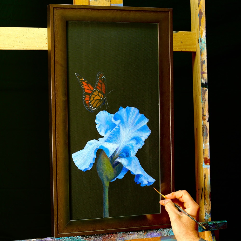 59823573_323565025002258_7310271707749548032_n