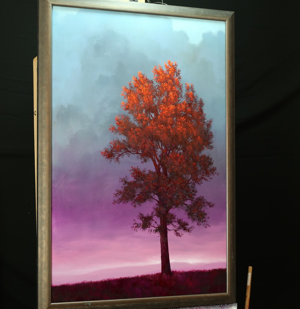 67385553_709009332879871_2422329269674835968_n