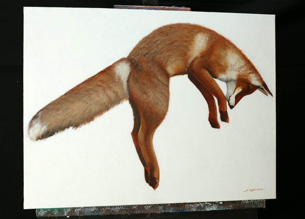 95447484_1091867011189985_969900960870563840_n(1)